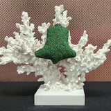 Christmas Tree Shweshwe special edition ornaments